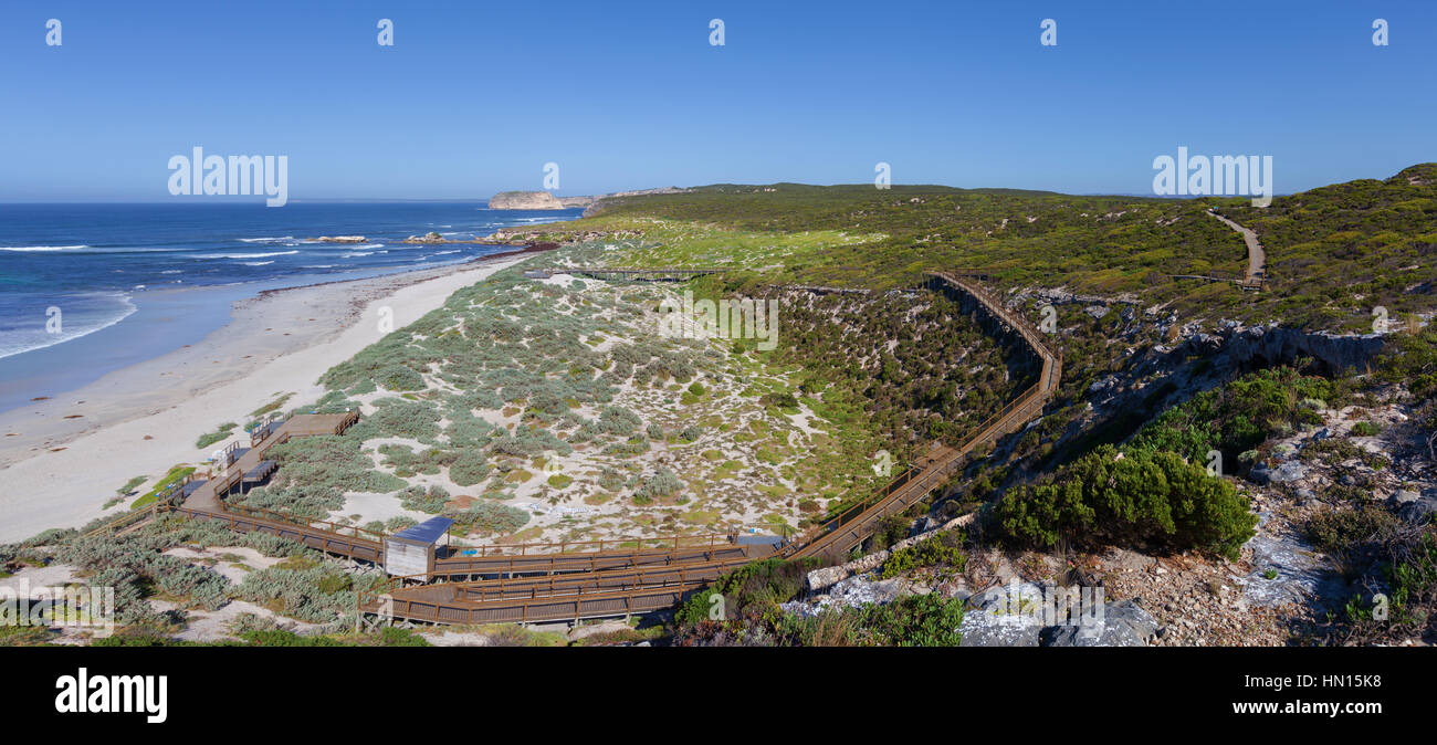 Seal Bay in estate paesaggio. Kangaroo Island, Sud Australia Foto Stock