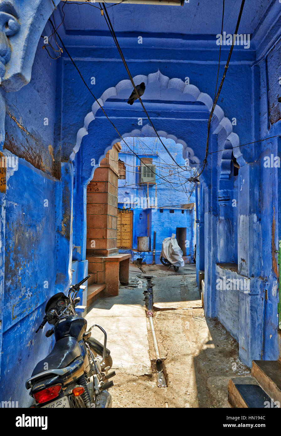 Città blu Jodhpur, Rajasthan, India Foto Stock