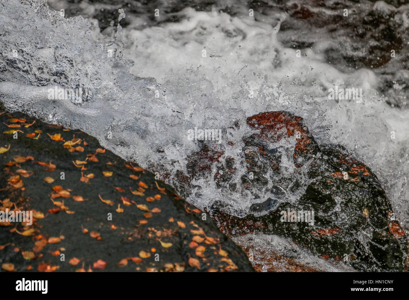 Acqua fresca splash Foto Stock