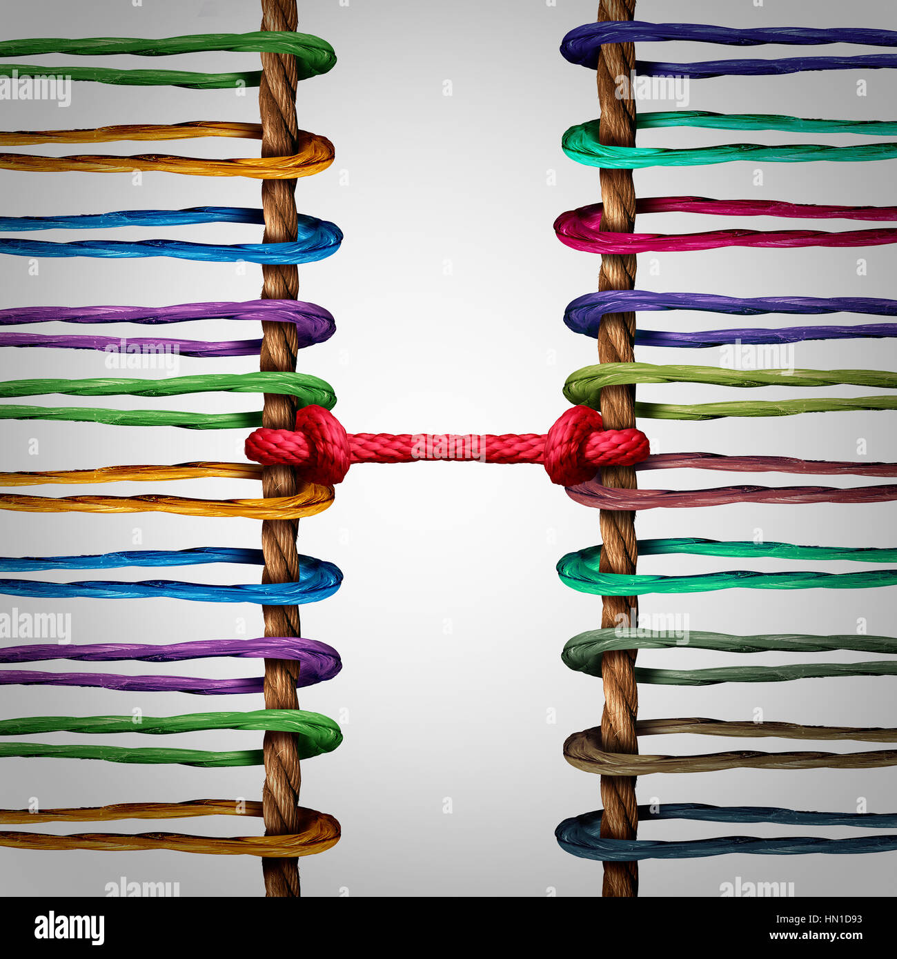 Connesso concetto di squadre di due gruppi di corde legati e legati insieme come una metafora per la mediazione tra due reti di cooperazione o l'unità. Foto Stock