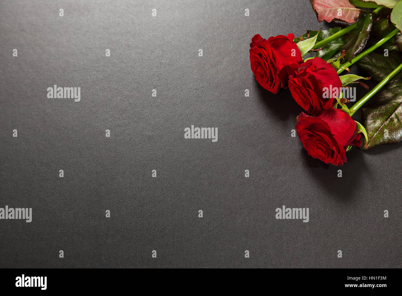 Bellissime rose rosse bouquet su uno sfondo nero. Biglietto di auguri il giorno di San Valentino o il 8 marzo. Spazio libero per il testo Foto Stock