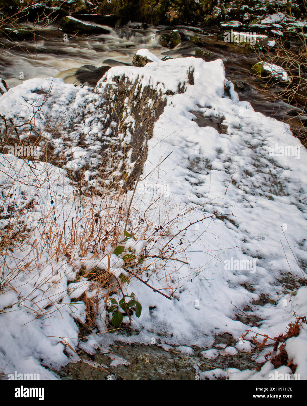Erbe in inverno la neve, a Ingleton Foto Stock