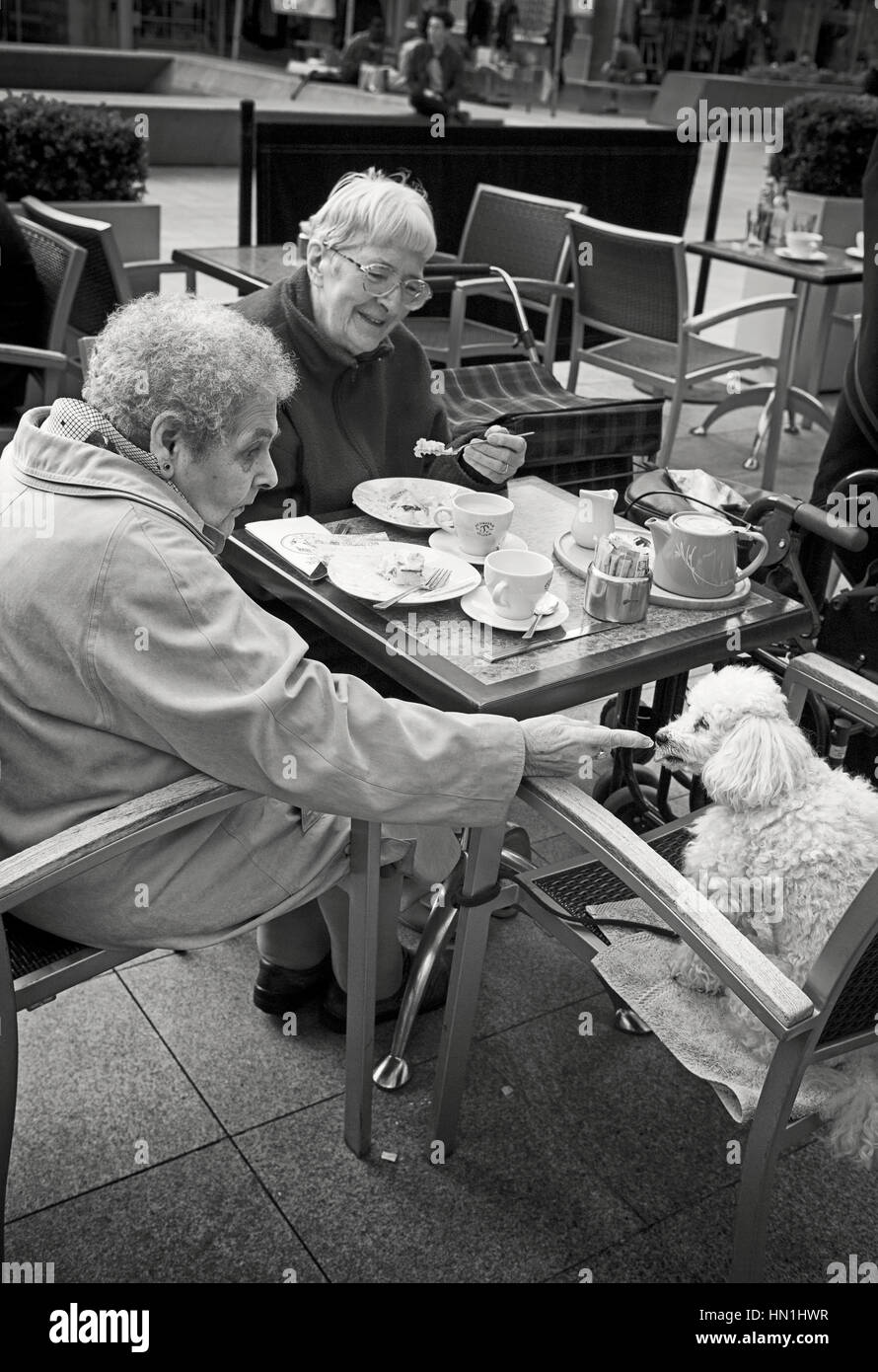 Ora del tè Foto Stock