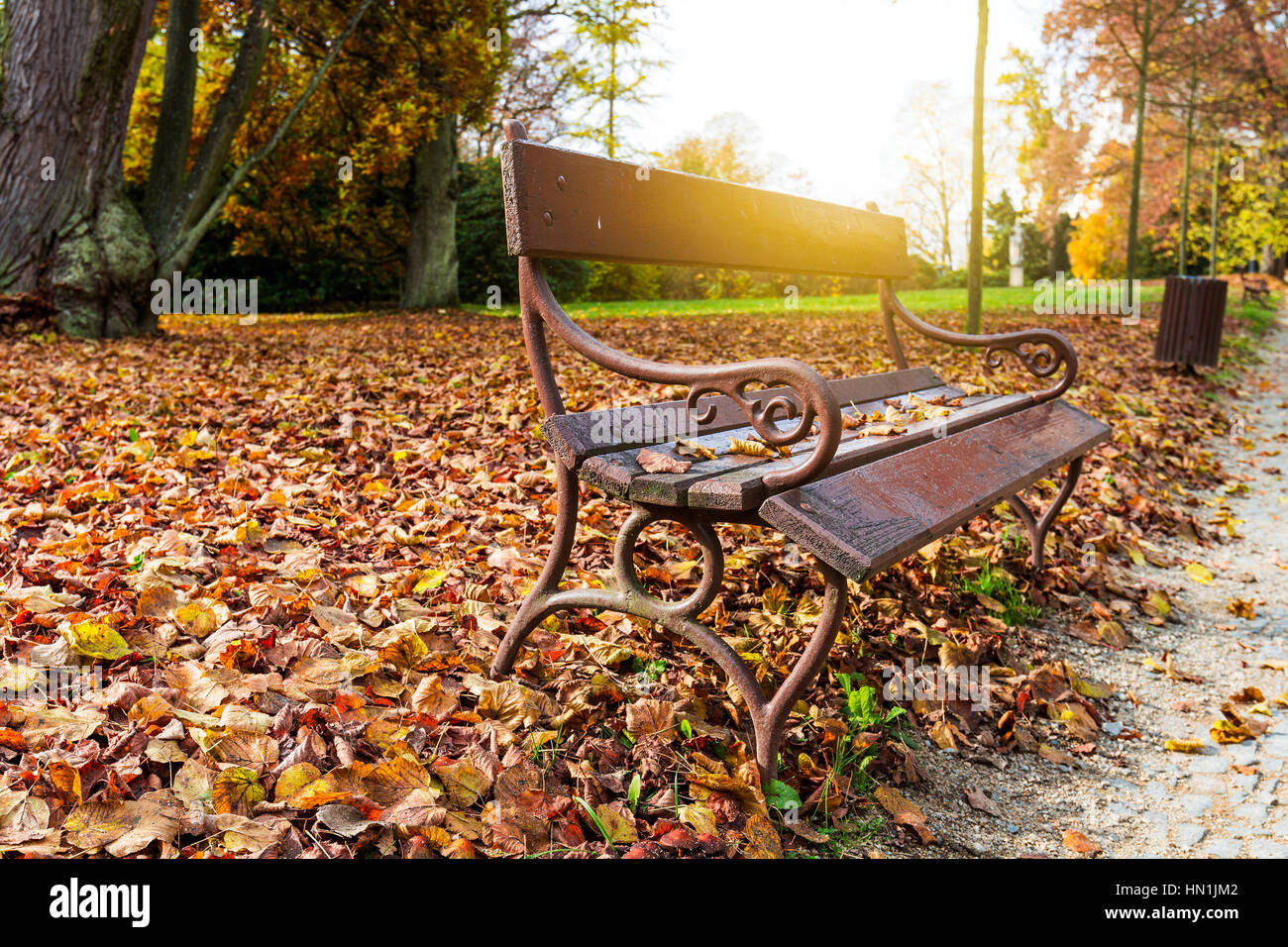 Vecchia panca di legno nel parco della città. naturale sfondo di autunno Foto Stock