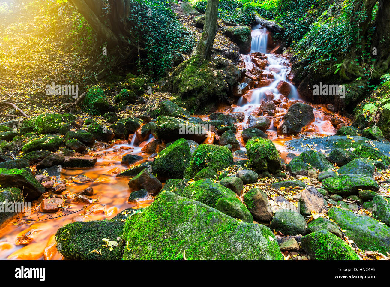 Bella cascata con alberi e foglie rosse, delle rocce e delle pietre nella foresta di autunno. Foto Stock