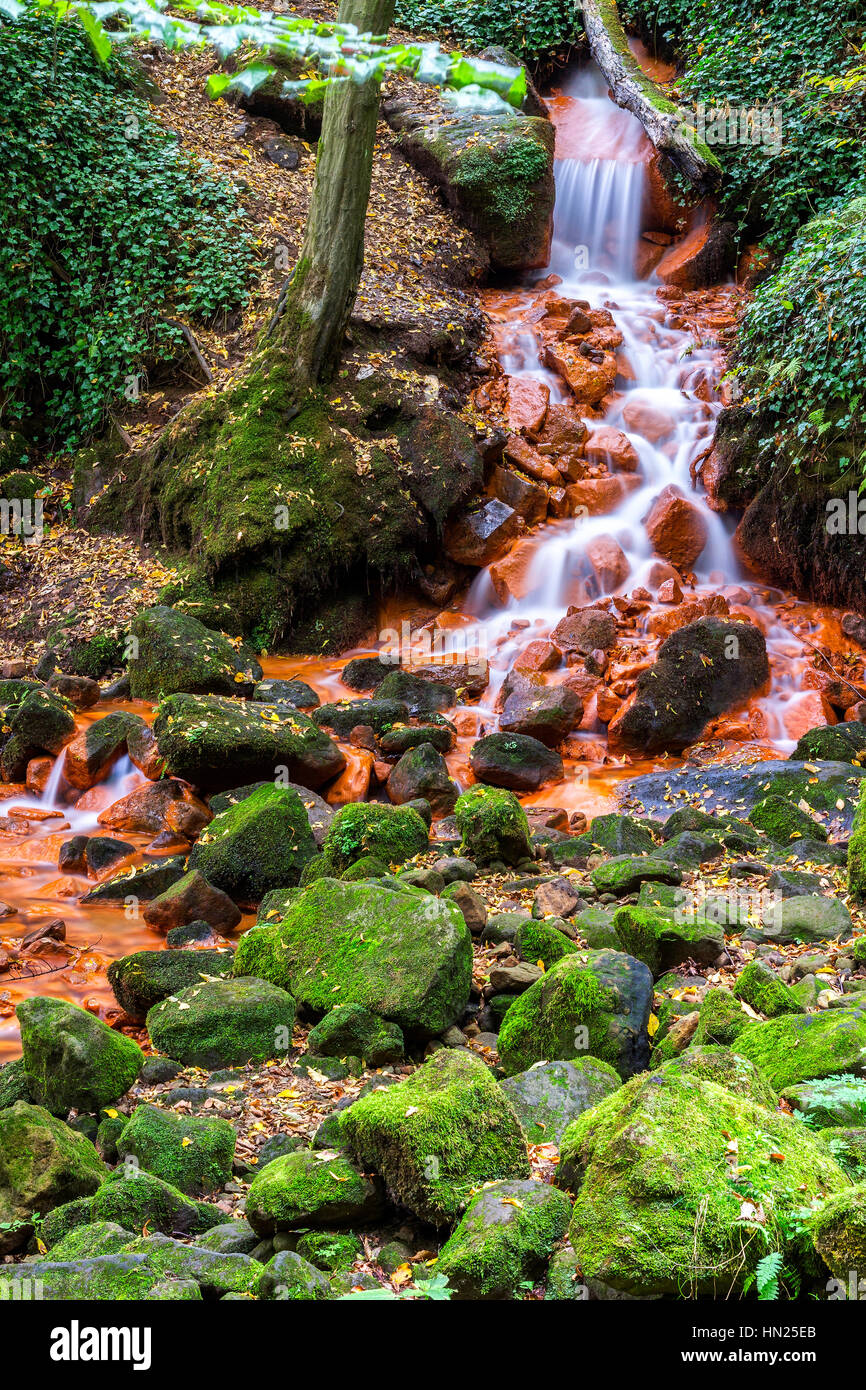 Bella cascata con alberi e foglie rosse, delle rocce e delle pietre nella foresta di autunno. Foto Stock