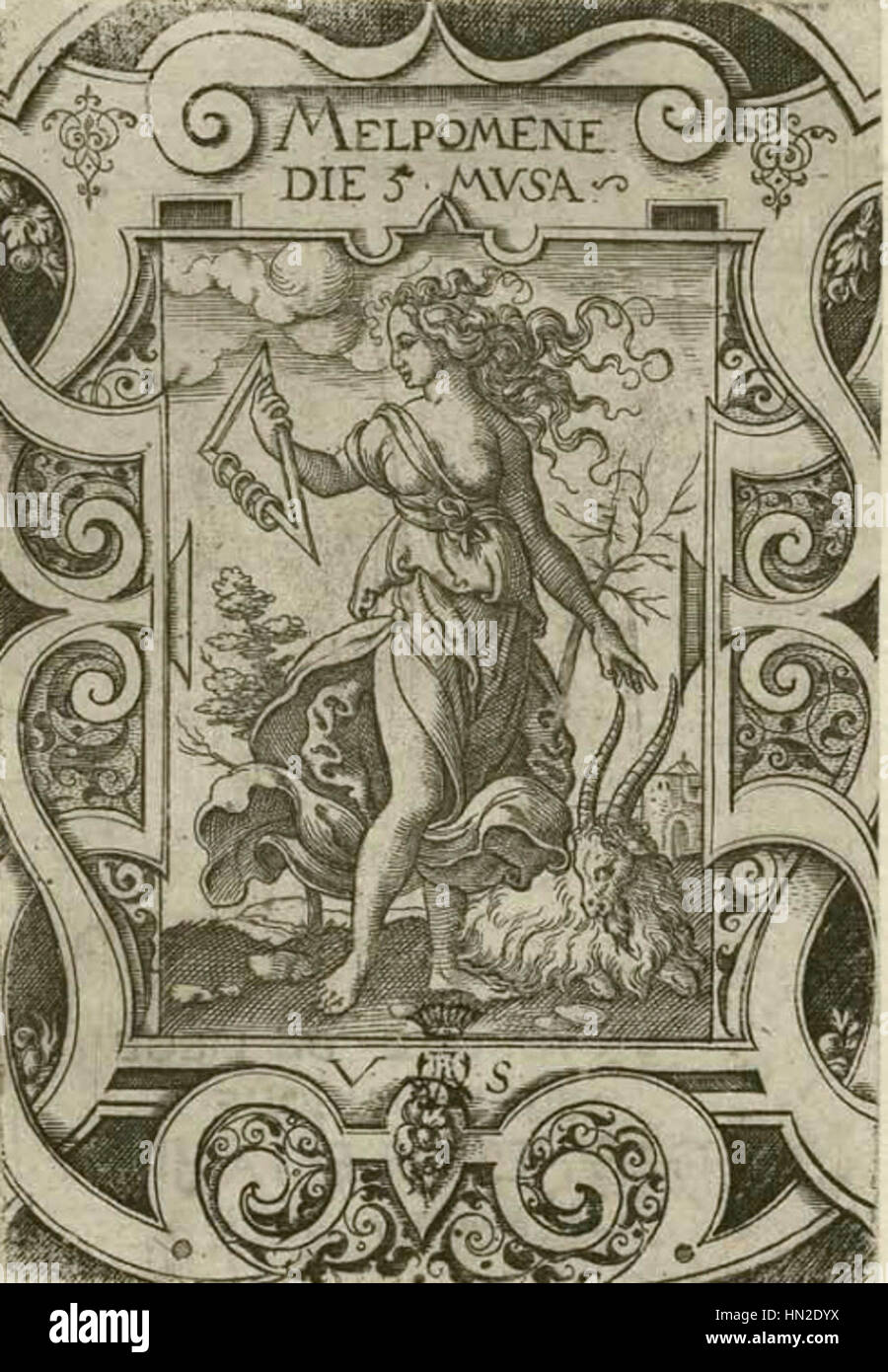 *Musa5-melpomene-vs* è un riferimento scientifico o botanico, possibilmente correlato ad una specifica varietà del genere *Musa*, comunemente noto come banane. Il titolo suggerisce un confronto o uno studio, forse dettagliando le caratteristiche, la crescita o la coltivazione di questa particolare varietà in relazione ad altri tipi di specie *Musa*. Foto Stock