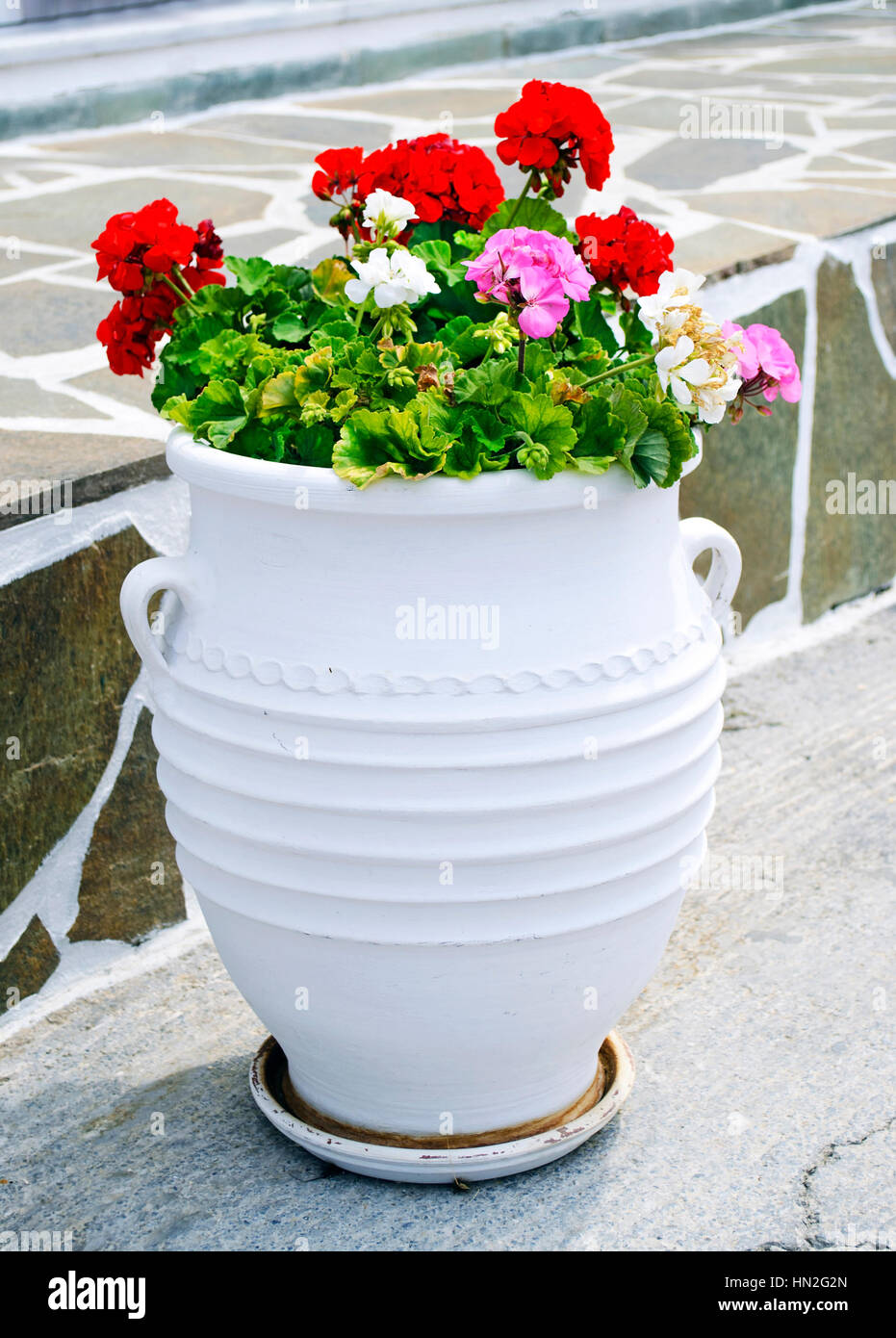 Vaso di fiori delle cicladi sull'isola di Andros in Grecia Foto Stock