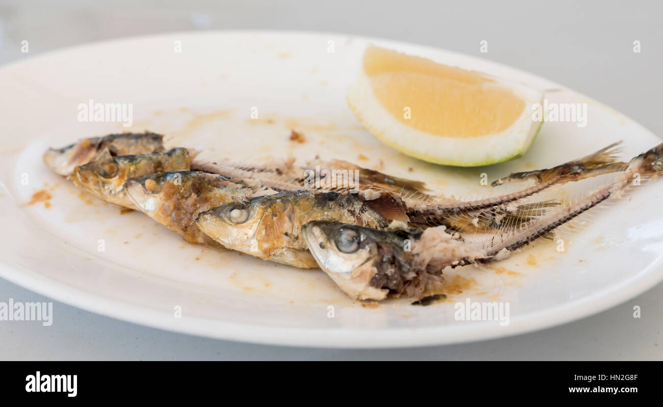 I resti di un piatto di sardine, con le ossa, la testa e la coda del pesce visibile, insieme con una fetta di limone. Foto Stock