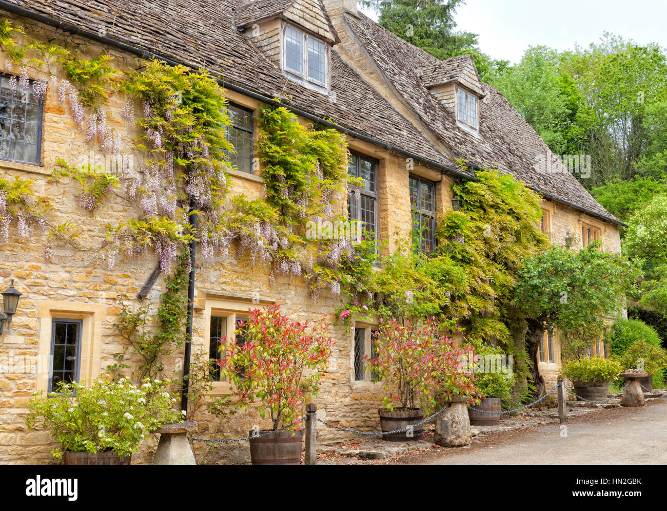 Incantevole Cotswolds golden cottages con arrampicata glicine viola, piante in barili, pietra ornamentale di funghi Foto Stock