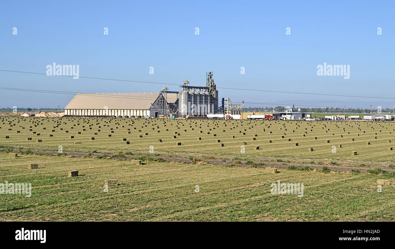 Davis, California, Stati Uniti d'America, 10 ago 2016 - SHF riso essiccatore e magazzino è il cluster di grandi silos per il grano visto sul lato occidentale del Yolo Causeway Foto Stock