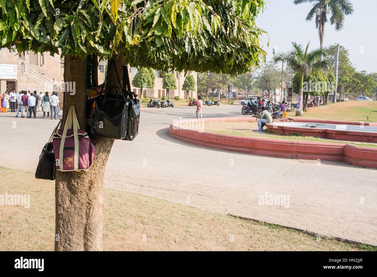 Portafogli,Borse a mano appeso a un albero in un campus universitario in Hyderabad, India Foto Stock