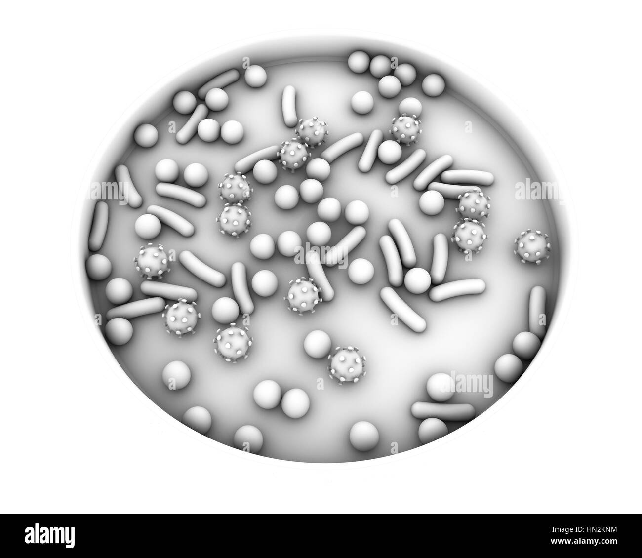 Piastra di petri con i microbi, illustrazione del computer. Immagine concettuale della diagnosi di laboratorio delle malattie infettive. Foto Stock