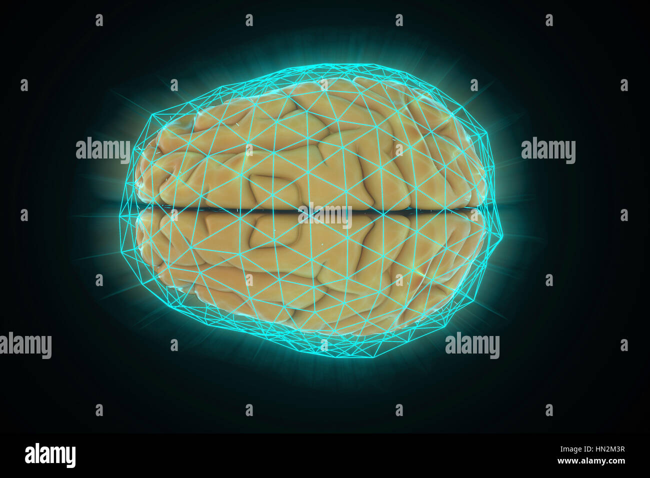 Cervello umano rete, illustrazione. Foto Stock