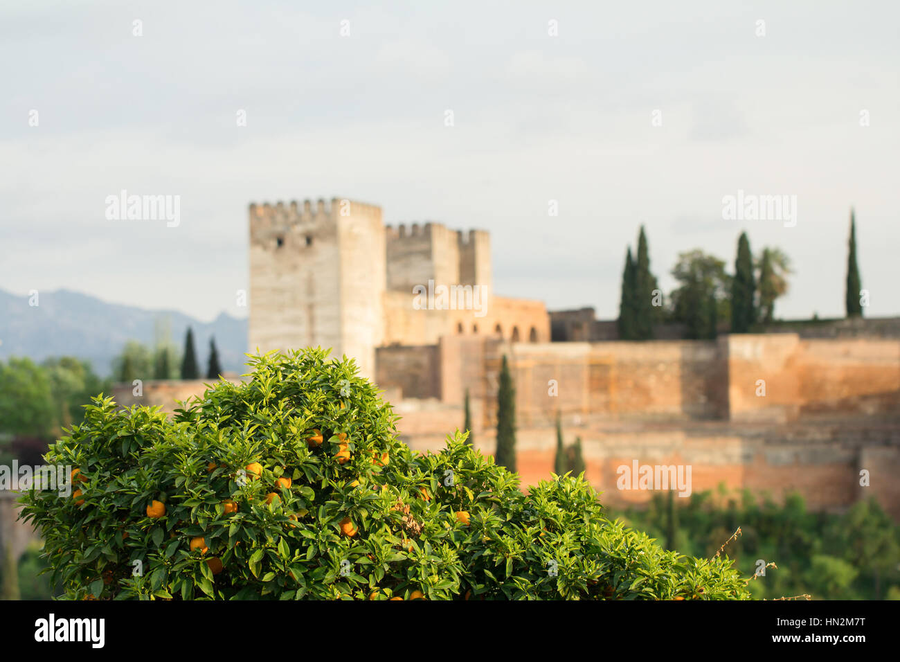 Alhambra Palace in Spagna Foto Stock