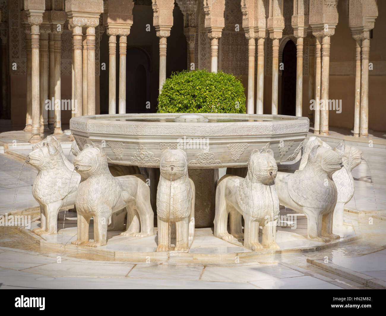 Fontana leone alhambra Foto Stock