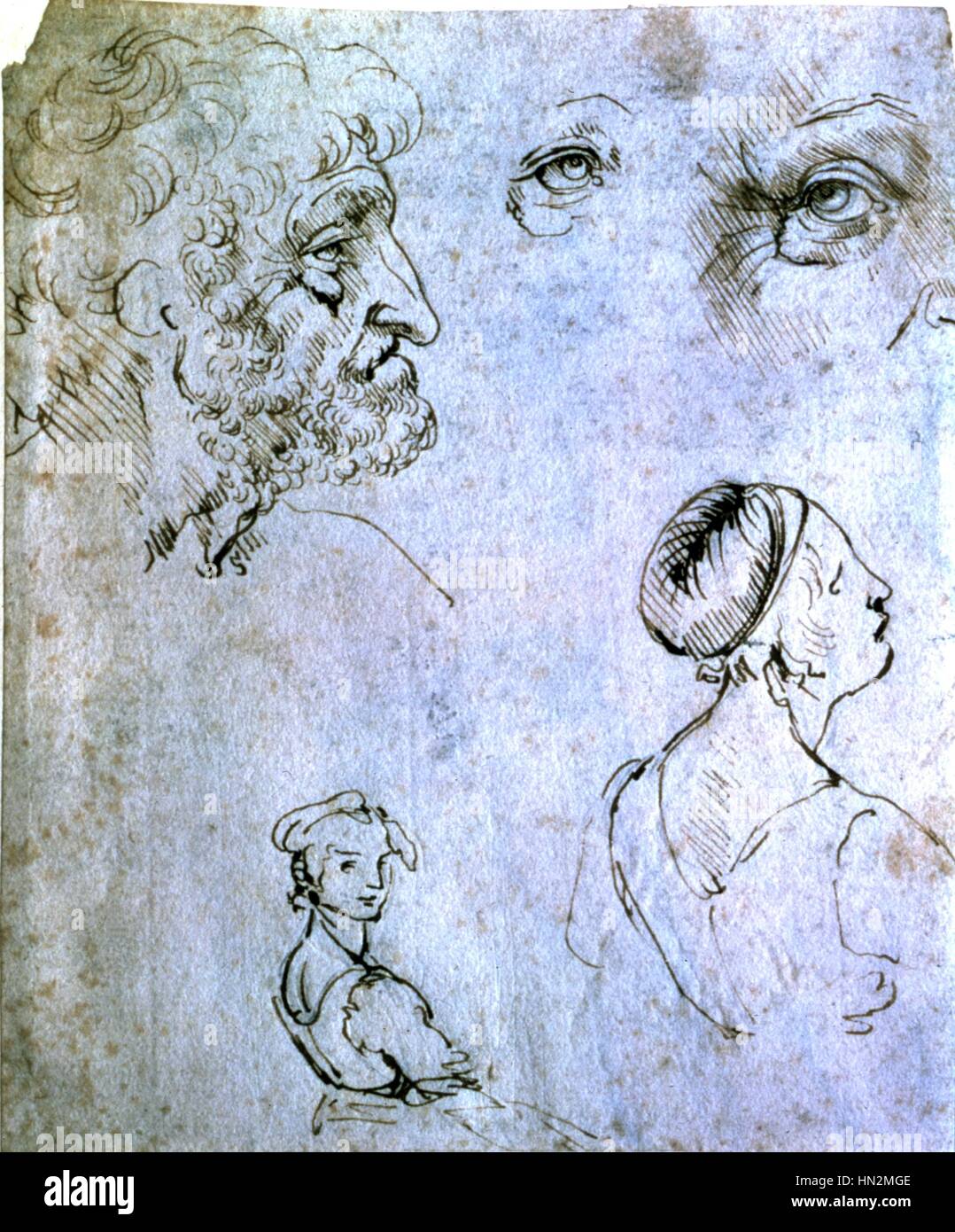 Studi volti a penna e inchiostro di disegno di Leonardo da Vinci 1452-1519 Collezione privata Foto Stock