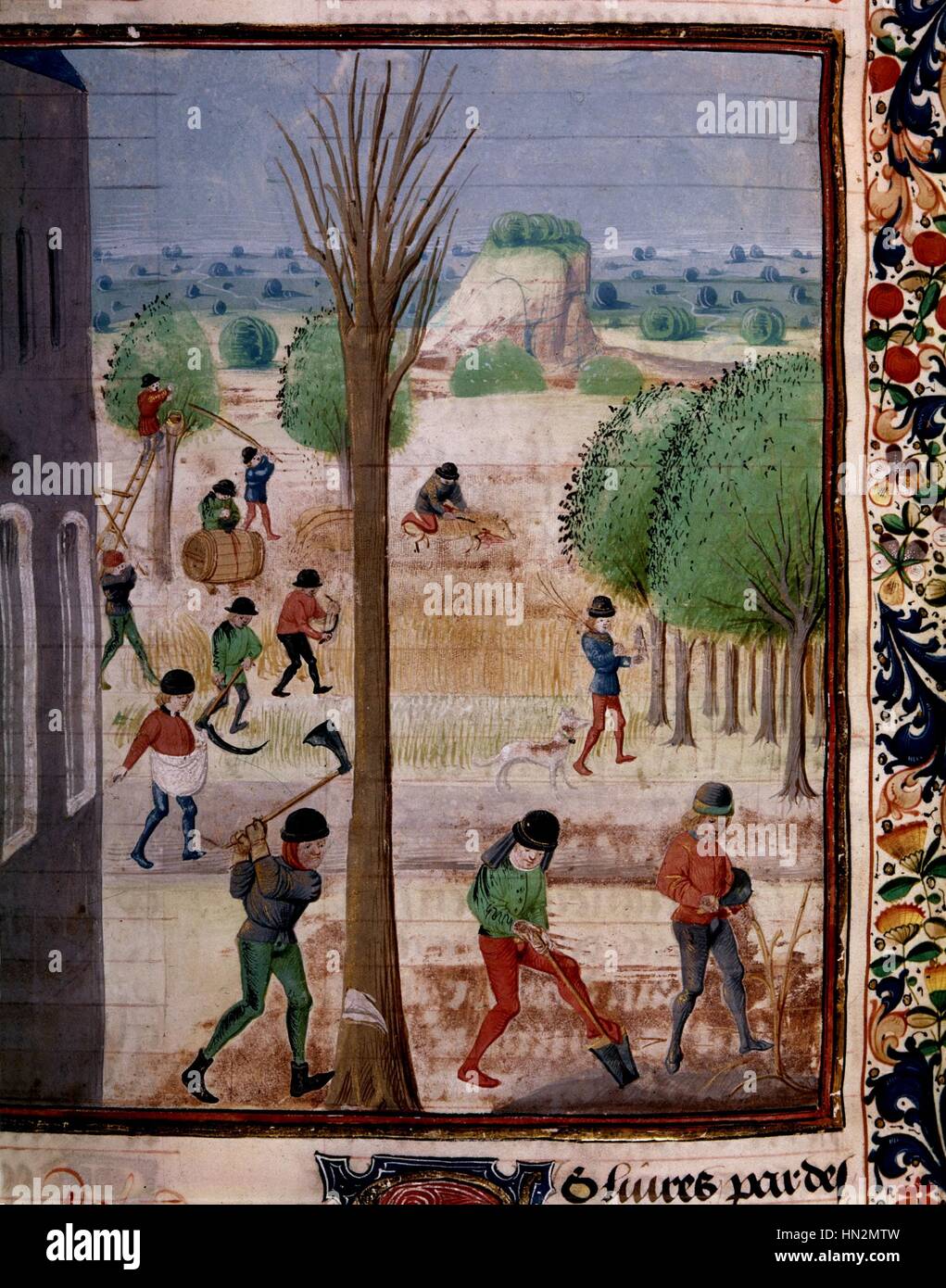Pierre de Crescens, libro di allevamento di opere. Tagliare gli alberi tardo XV secolo in Francia Parigi, Bibliotheque de l' Arsenal Foto Stock