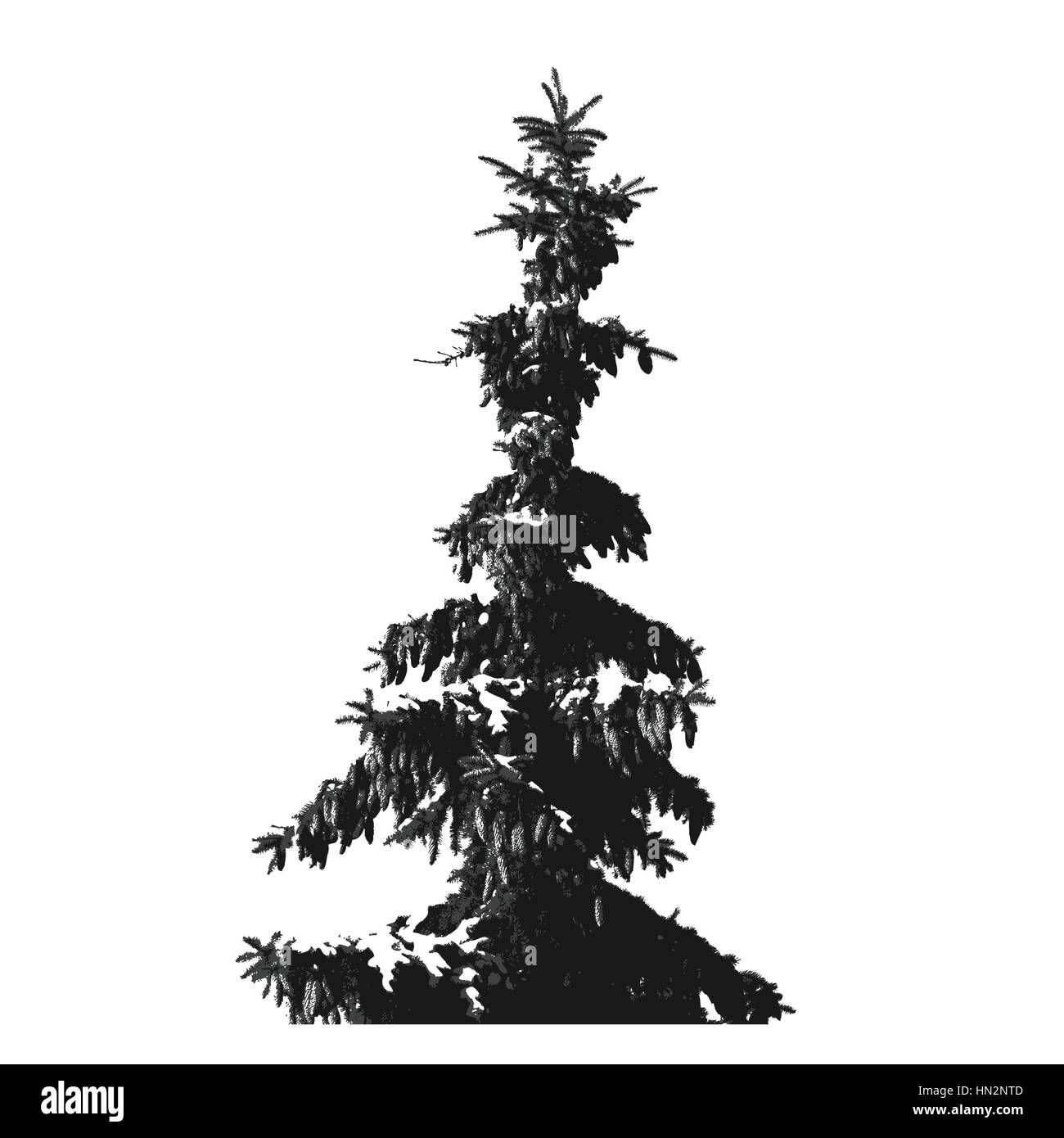 Pelo nero-tree silhouette isolati su sfondo bianco. Illustrazione Vettoriale