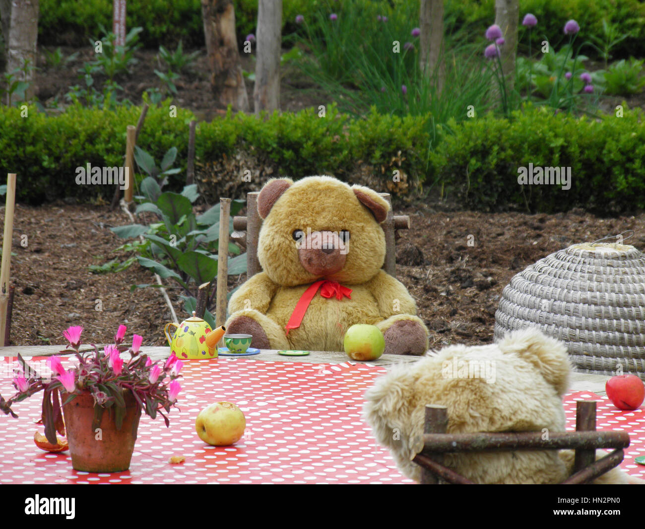Teddy Bear Picnic Foto Stock