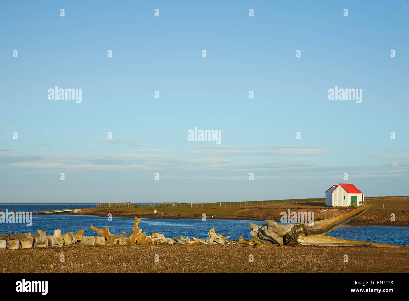 Vecchie ossa di balena giacente sulla costa di più deprimente isola nelle isole Falkland. Foto Stock