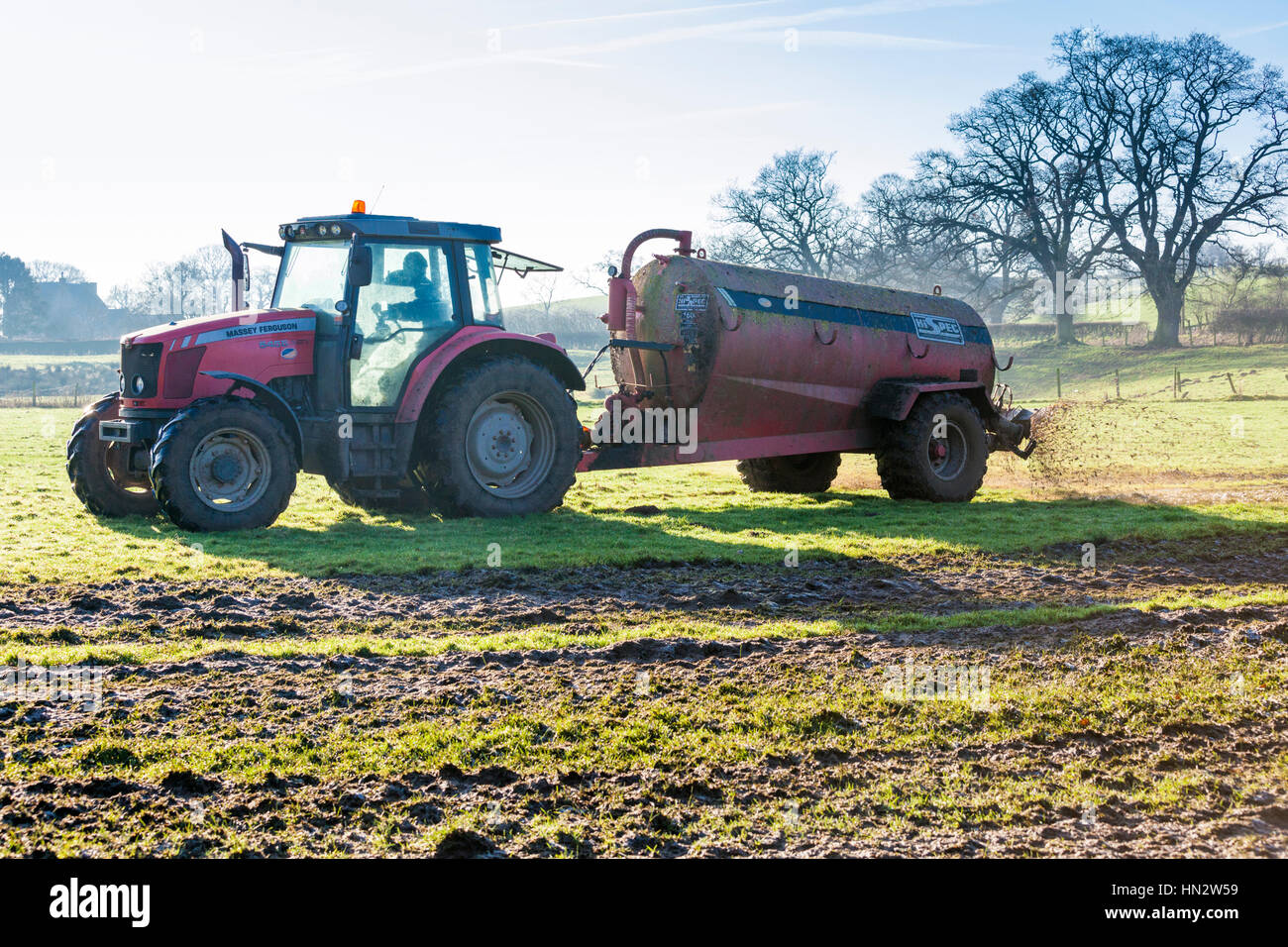 Muckspreading vicino Irthington, Cumbria Regno Unito Foto Stock