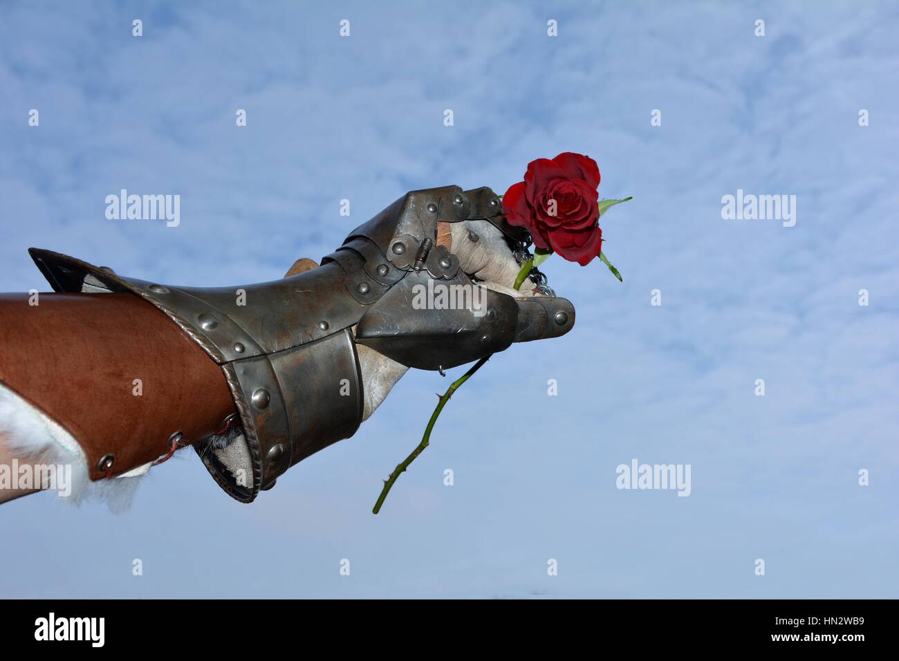 Duro ma sostanziosa - cavaliere di ferro la mano con rosa rossa prima di cielo blu Foto Stock
