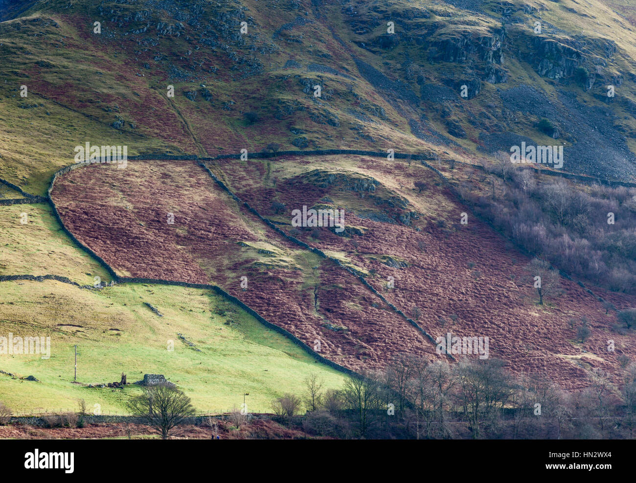 La luce del sole su Hartsop Dodd, vicino fratelli acqua, Lake District, Cumbria Foto Stock