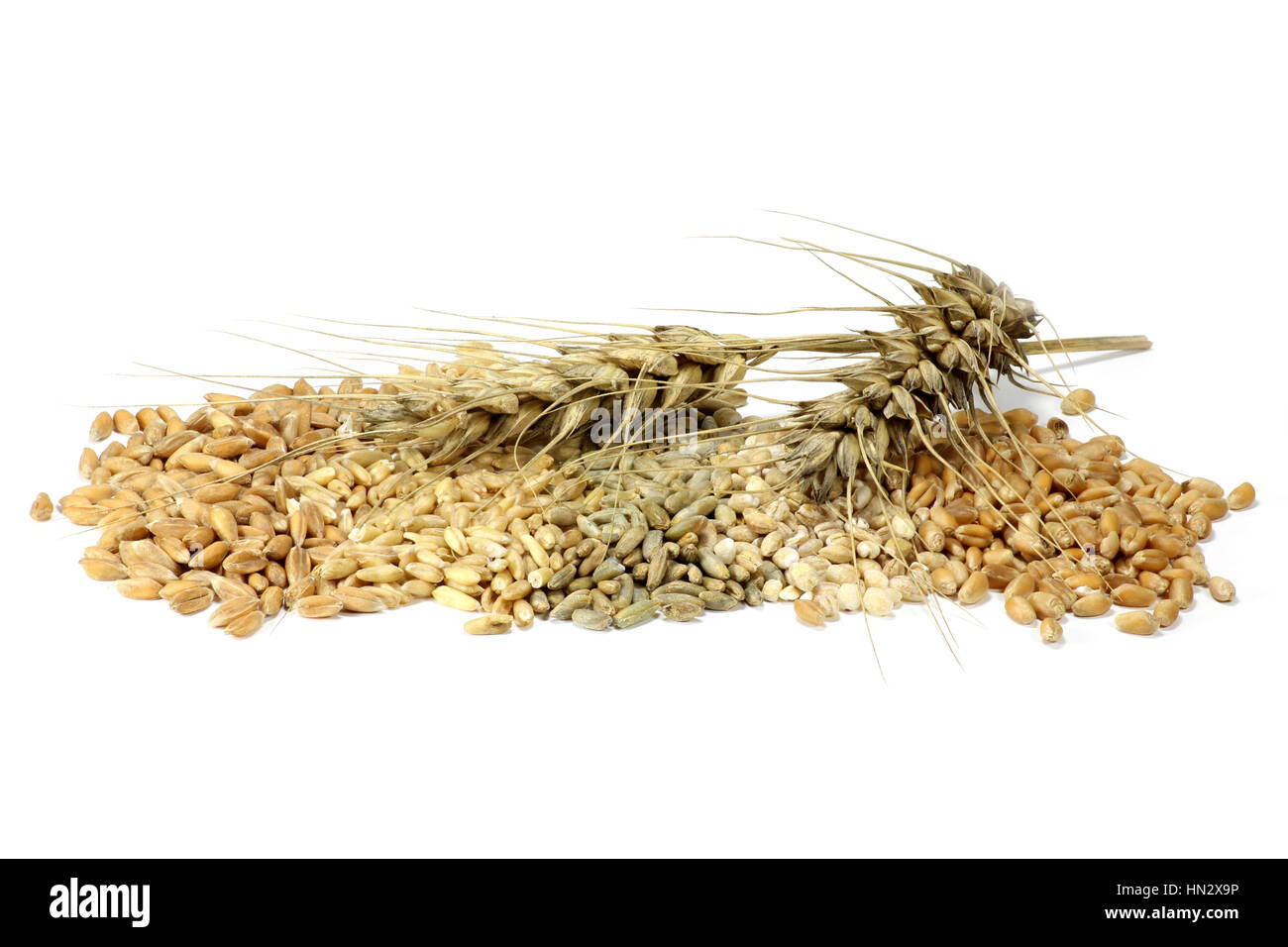 Assortimento di cereali diversi isolati su sfondo bianco Foto Stock