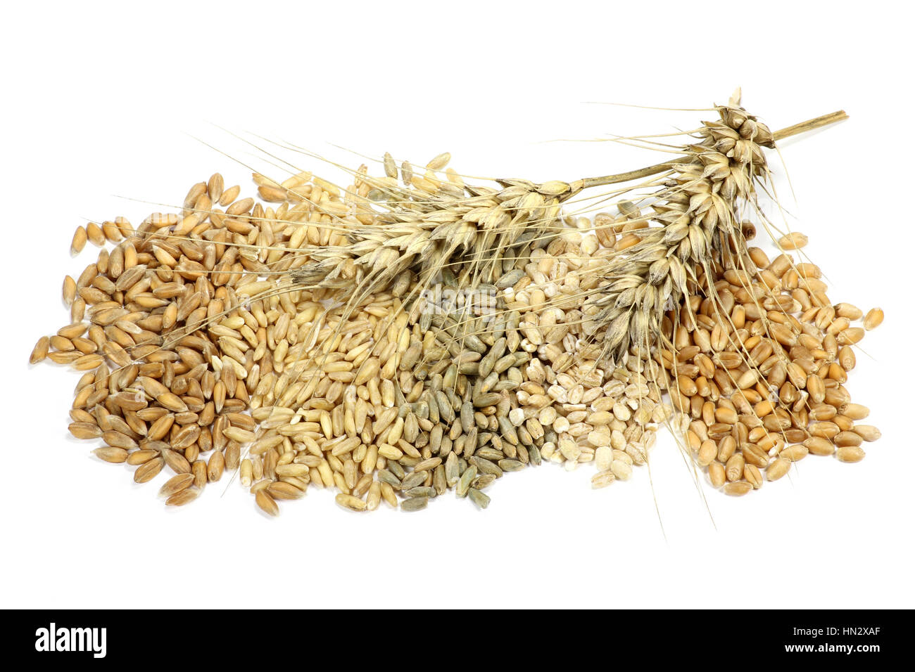 Assortimento di cereali diversi isolati su sfondo bianco Foto Stock