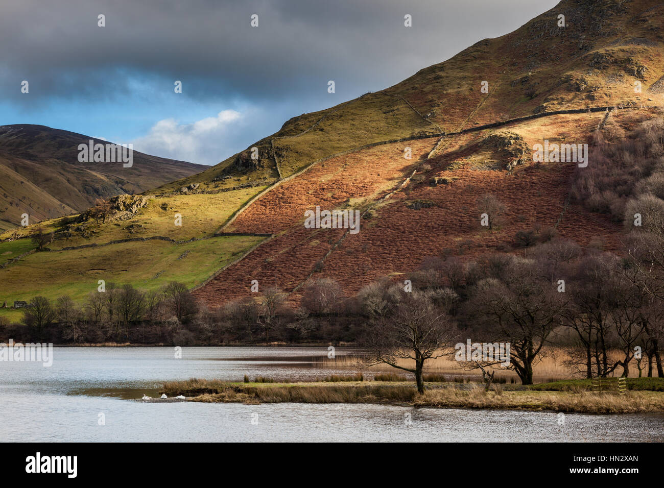 La luce del sole su Hartsop Dodd, vicino fratelli acqua, Lake District, Cumbria Foto Stock