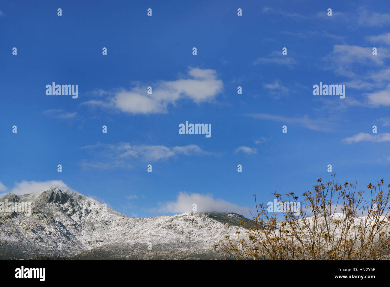 Paesaggio Innevato in inverno. Oggetto catturato dopo la tempesta di neve oltre il cielo blu sullo sfondo. Foto Stock