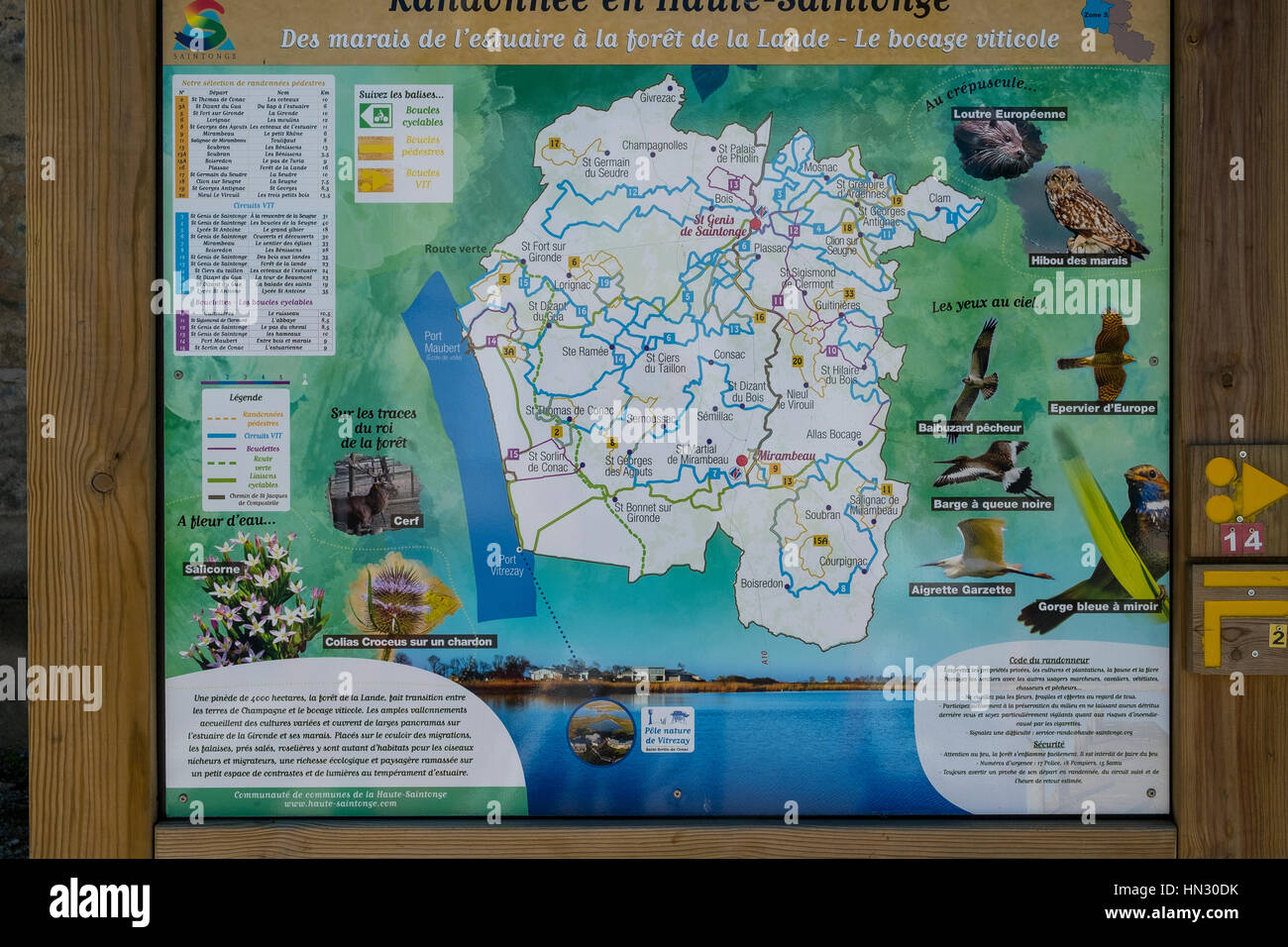 Francia, bordeaux, mappa, viaggi, europa, geografia, turismo, sfondo, paese, città di confine, illustrazione, francese, la cartografia, europeo, regione, pol Foto Stock