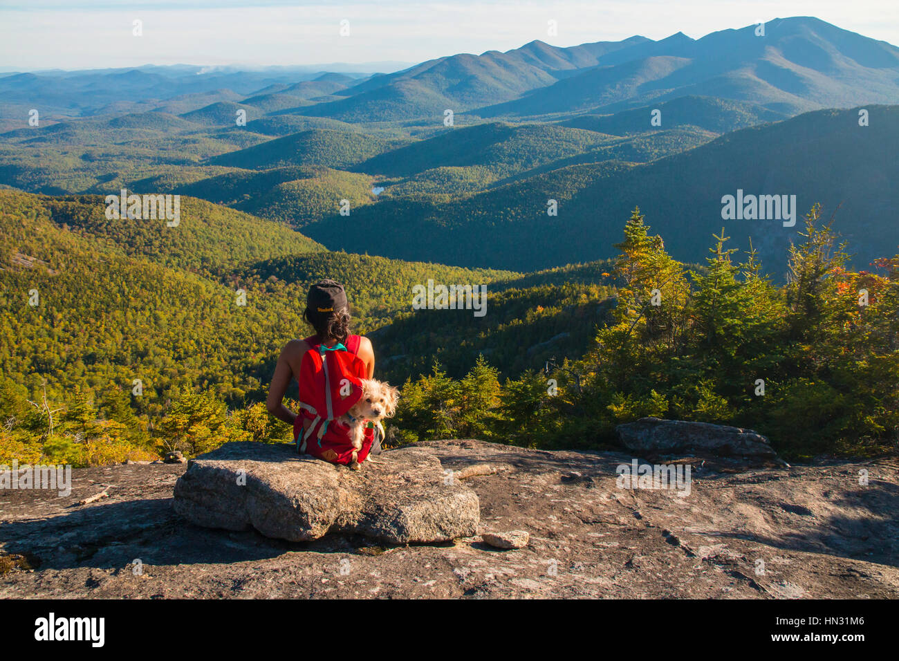 Turistico con un cane in uno zaino guardando sopra le Montagne Adirondack in Upstate New York, Stati Uniti d'America Foto Stock