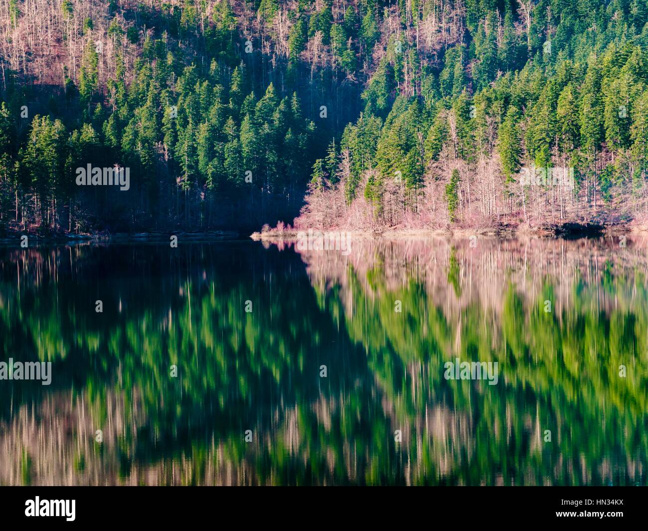 Il pittoresco lago calmo Lokve in Croazia Gorski kotar Foto Stock