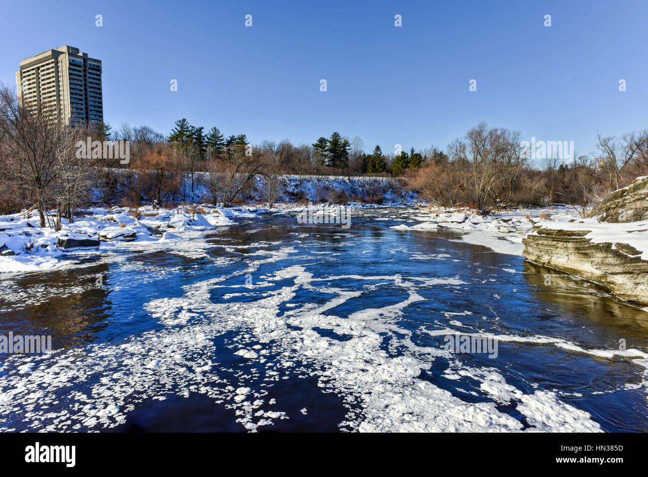Il Porco torna Falls si trova sul fiume Rideau in Hog Back del parco in Ottawa, Ontario Canada ghiacciato in inverno. Foto Stock