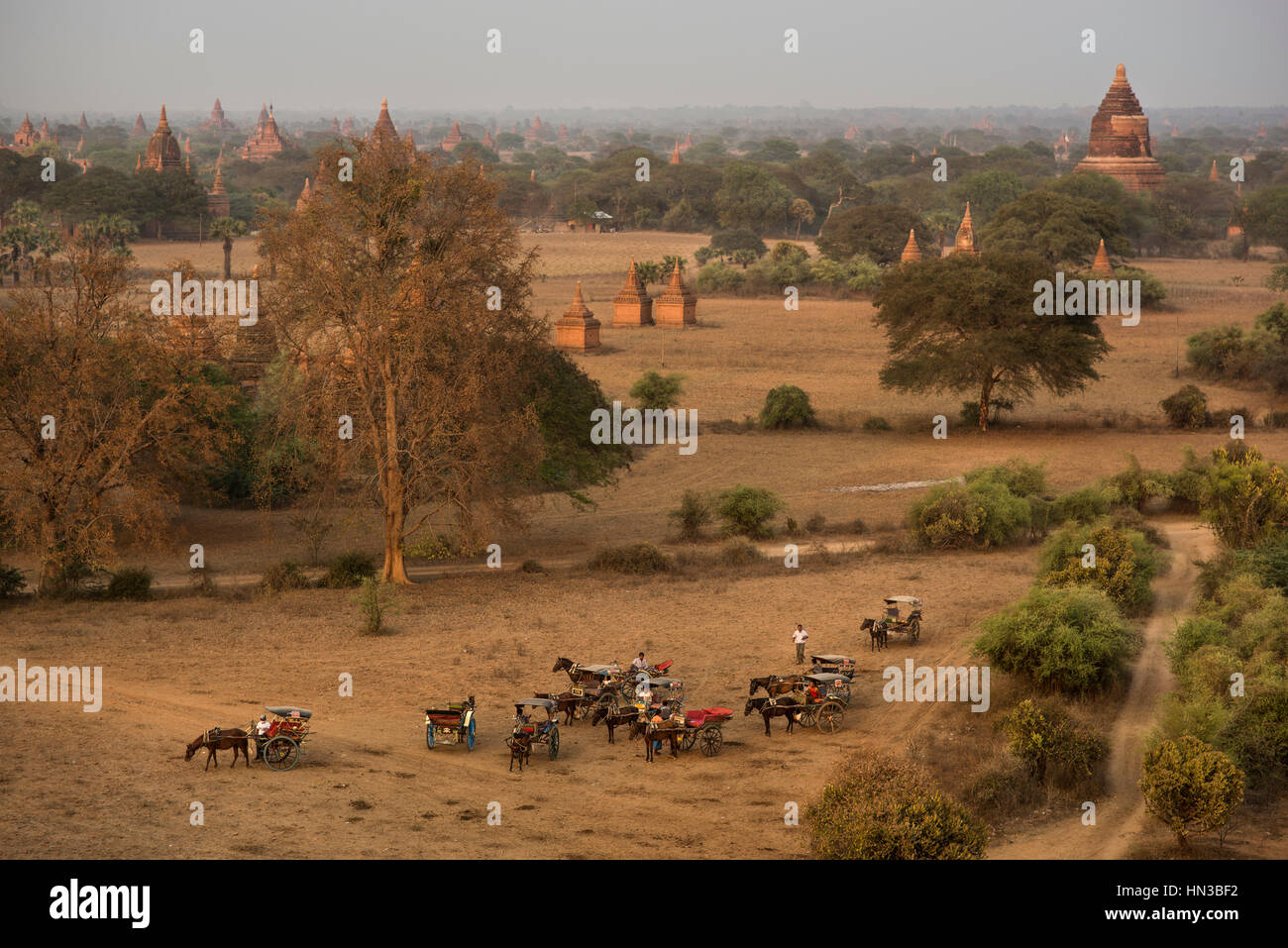 Vista dei templi di Bagan Sito Storico di cavalli e carri in Myanmar Foto Stock Vista dei templi di Bagan Sito Storico di cavalli e carri in Myanmar Foto Stock