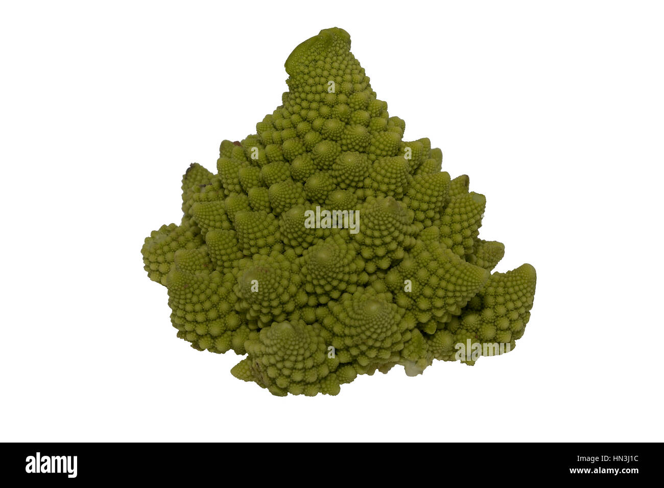 Romanesco verde Testa di cavolfiore isolati su sfondo bianco Foto Stock