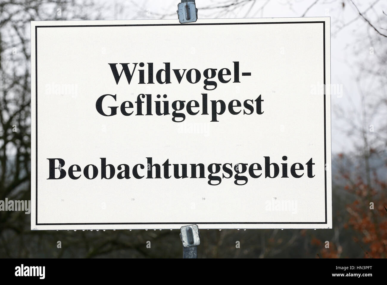 Segnale di avvertimento influenza aviaria, influenza aviaria della zona di sorveglianza, Pinneberg, Schleswig-Holstein, Germania Foto Stock