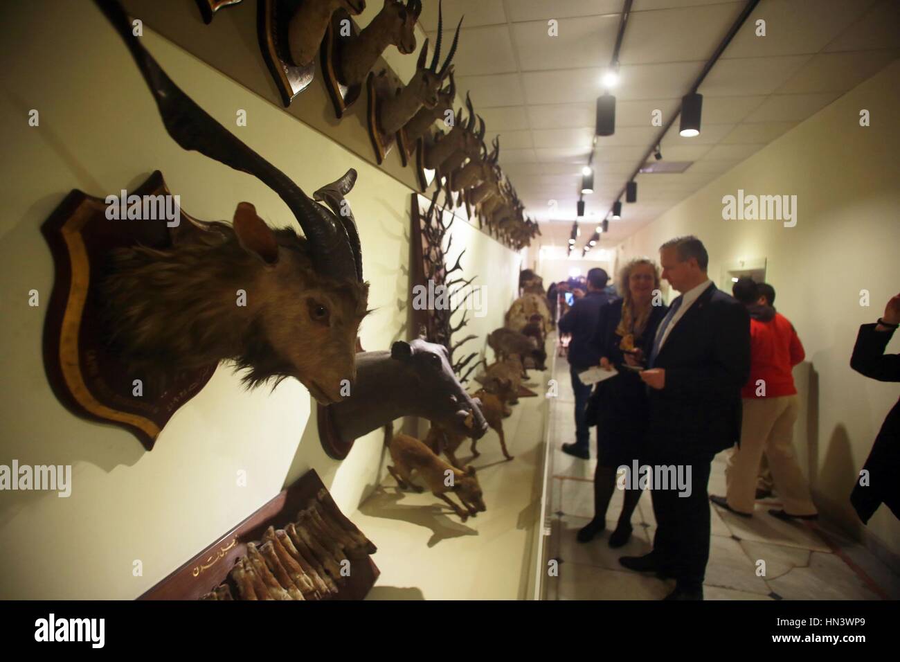 Il Cairo, Egitto. 7 febbraio, 2017. La gente visita il Museo di Caccia a Palazzo Manial al Cairo, in Egitto, nel febbraio 7, 2017. In Egitto è stato riaperto il martedì il Museo di Caccia a Palazzo Manial al Cairo dopo un 10-anno di chiusura una mossa per contribuire a rilanciare il settore del turismo. Il museo, che è stato chiuso nel 2007 per il restauro, detiene 1.180 di mummie animali e uccelli cacciati dall'Egitto la famiglia reale, come coccodrilli, cammelli, cervi, farfalle, falchi e civette. Credito: Ahmed Gomaa/Xinhua/Alamy Live News Foto Stock