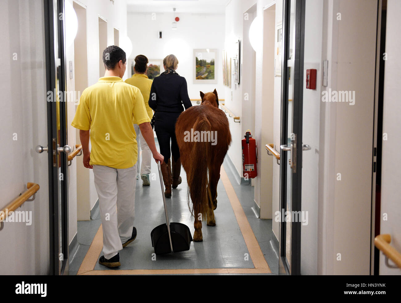 Berlino, Deutschland. 03Feb, 2017. Pony-Dame ·13· geht mit Besitzerin Hinrika Höges am 03.02.2017 durch einen Flur des Diakonie-Hospiz Wannsee a Berlino. Freitags kommt die Ponystute 13, benannt nach ·Jim Knopf und die Wilde 13·, zu einem besonderer Besuch in das Hospiz. (Zu dpa-KORR 'Tierischer Besuch: Ein Pony im Hospiz' vom 08.02.2017) Foto: Rainer Jensen/dpa/Alamy Live News Foto Stock