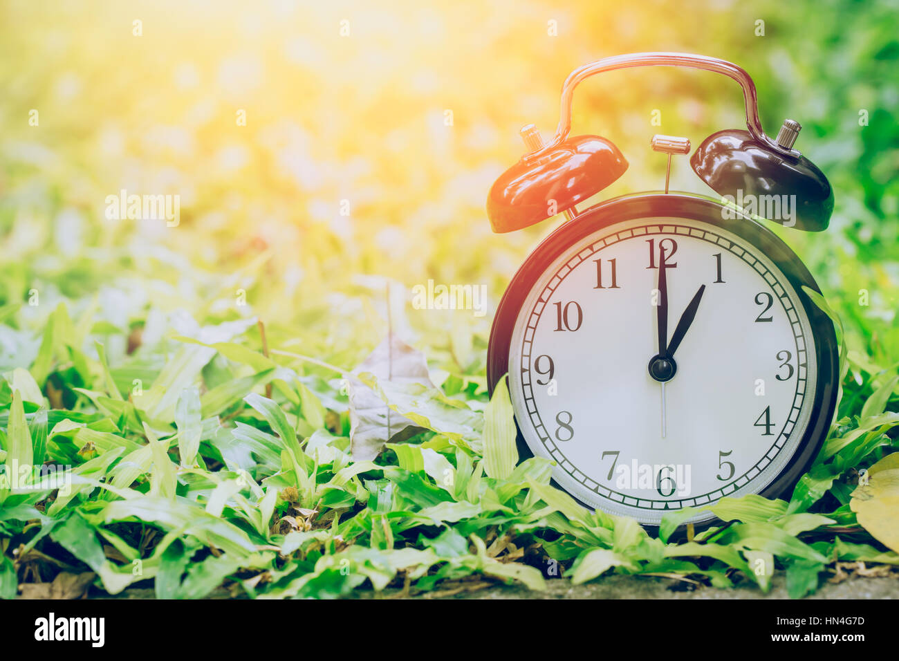 Ore 1 orologio retrò nel giardino campo di erba con luce solare. Foto Stock