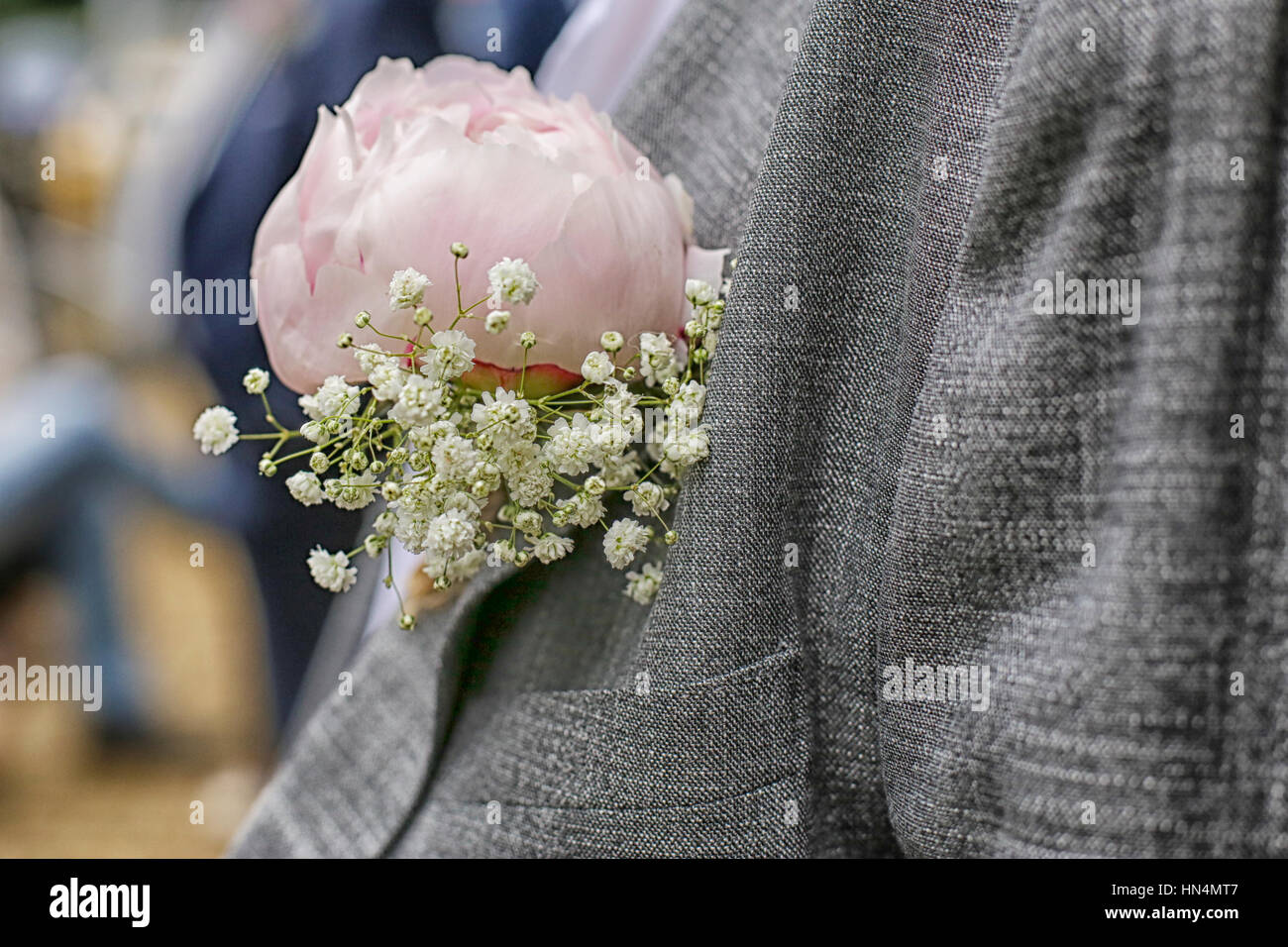 Chiusura del bianco e del rosa peonia corpetto. Bella boutonniere imperniata sull'uomo in abito grigio, camicia bianca. Lo sposo o il laureato. Foto Stock