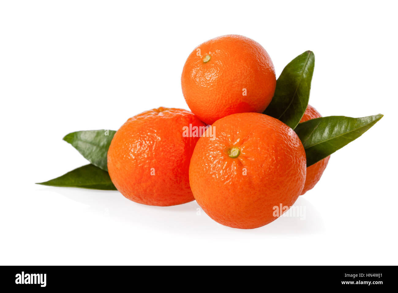 Le clementine isolati su sfondo bianco Foto Stock