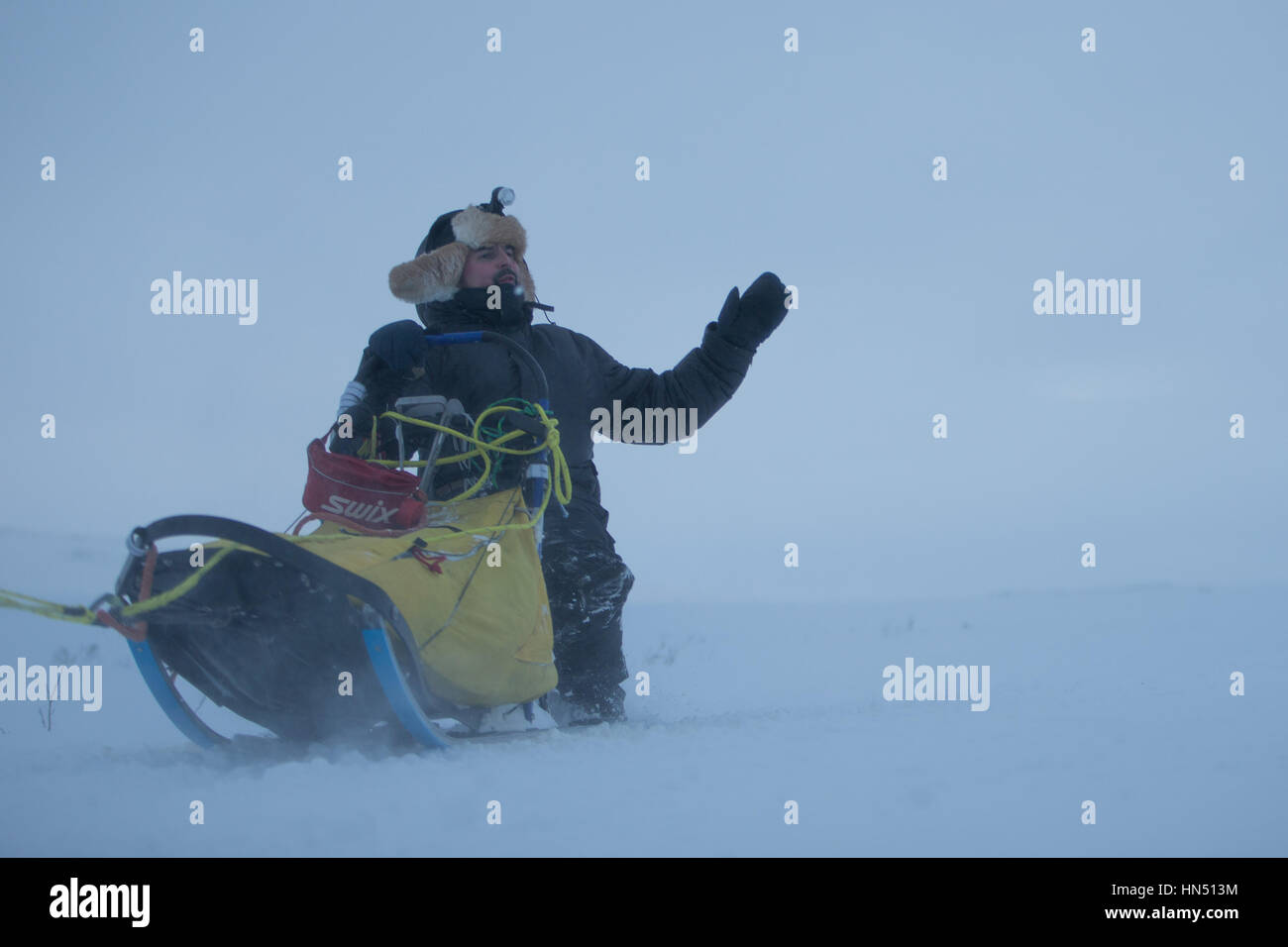 - Vadsø, Norvegia, 2 febbraio. 2017 - Bergebyløpet N70 ©Samuel Bay/VTHK Foto Stock
