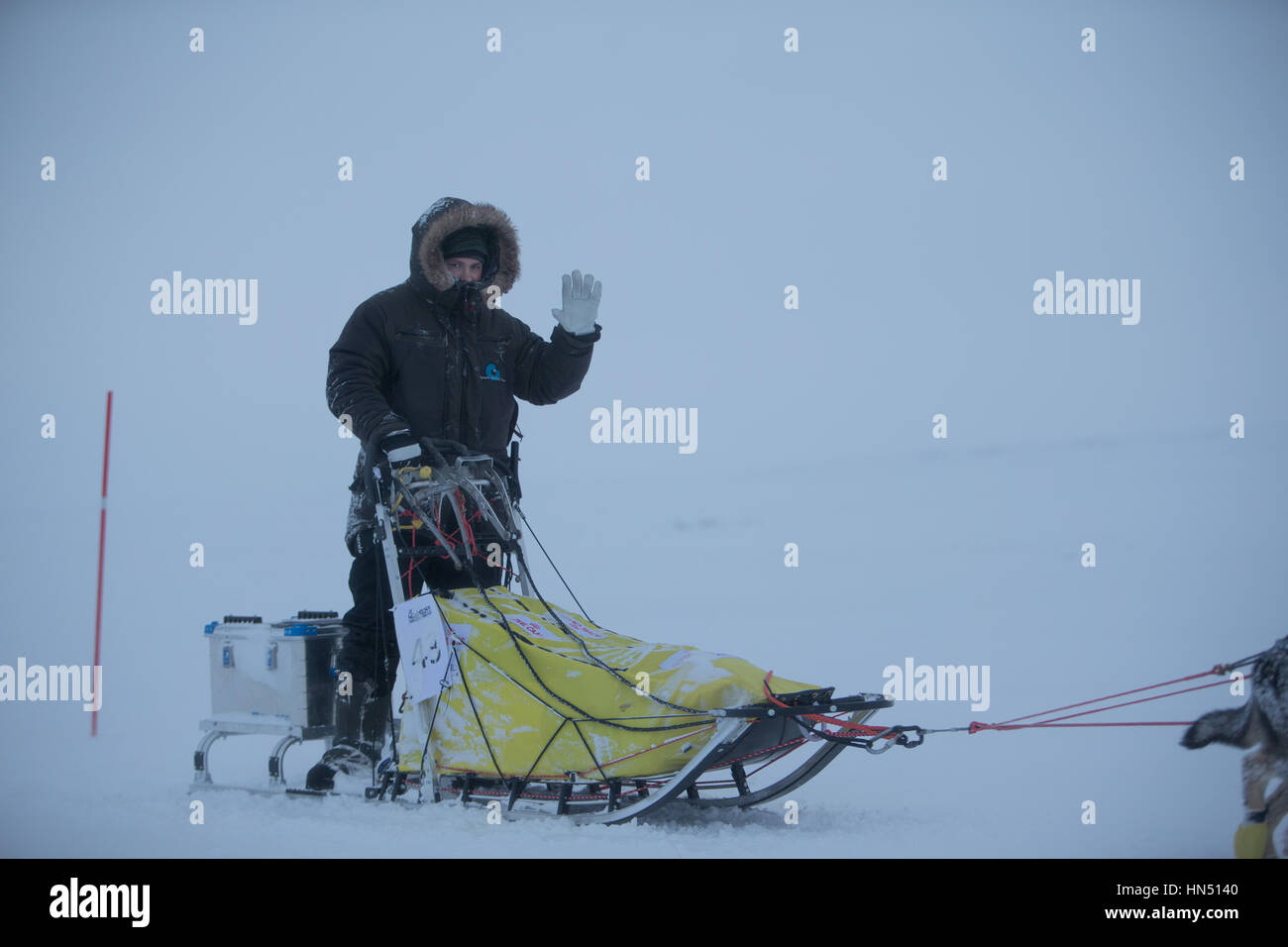 - Vadsø, Norvegia, 2 febbraio. 2017 - Bergebyløpet N70 ©Samuel Bay/VTHK Foto Stock