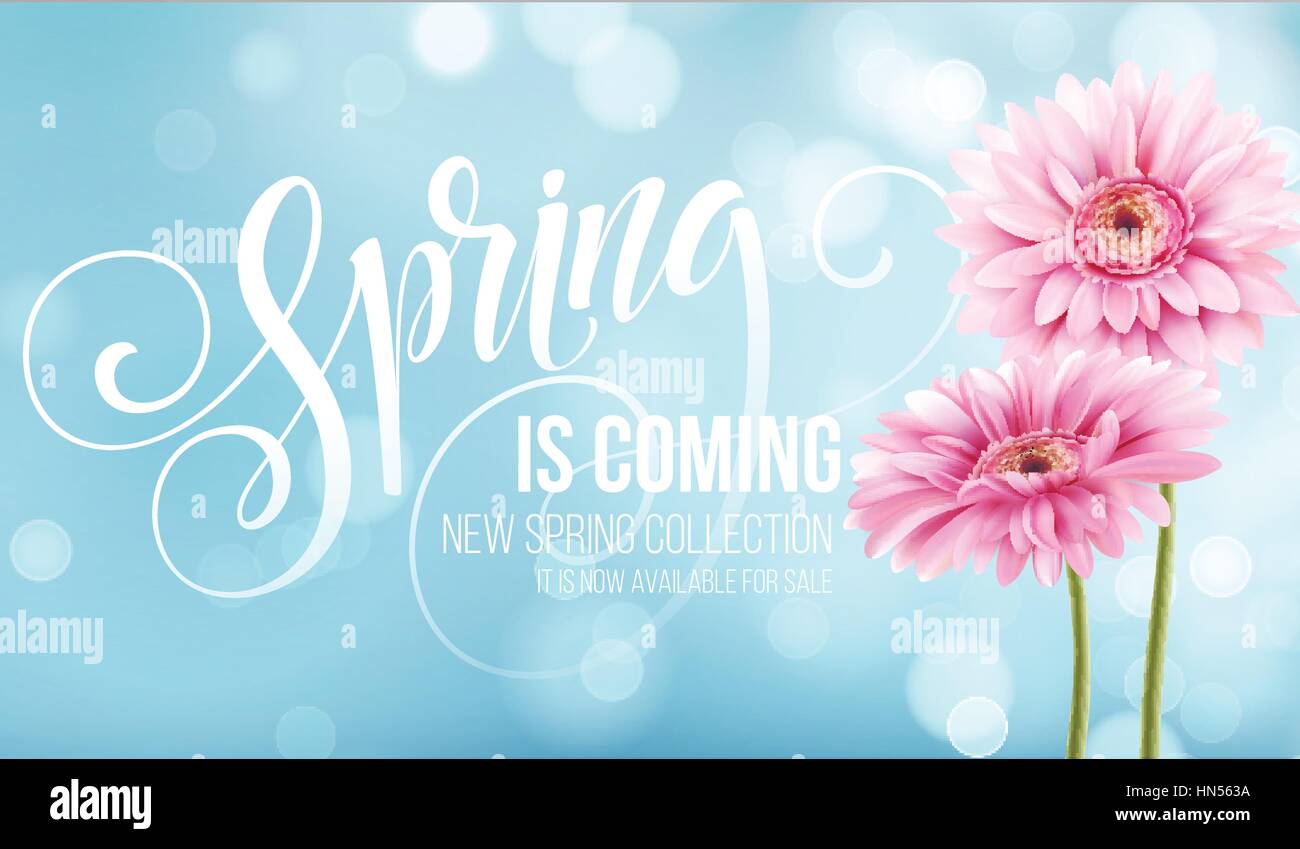 Gerbera sfondo floreale e la molla di scritte. Illustrazione Vettoriale Illustrazione Vettoriale