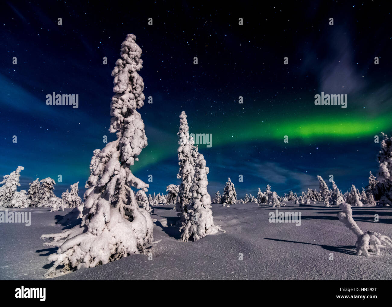 Notte invernale in Lapponia finlandese Foto Stock