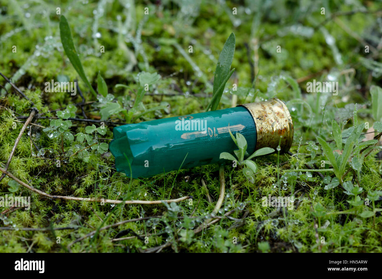 Svuotare i serbatoi fucile cartuccia di munizioni lasciati da cacciatori in campagna, Spagna Foto Stock