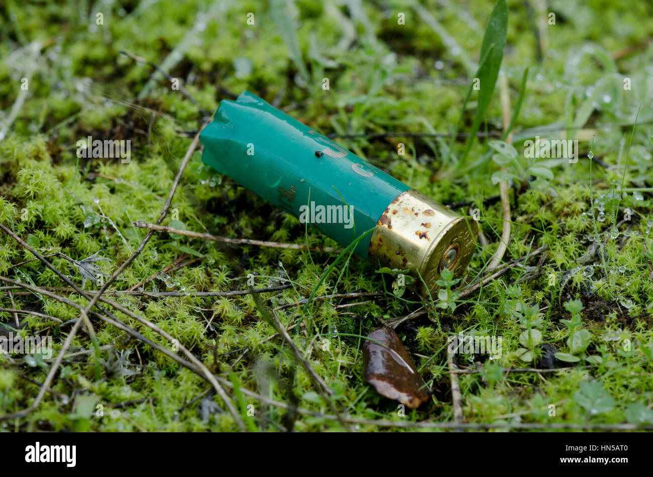 Svuotare i serbatoi fucile cartuccia di munizioni lasciati da cacciatori in campagna, Spagna Foto Stock